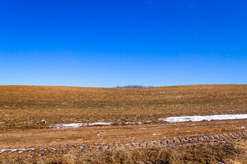 Spring landscape with empty fields and meadows for background. Agricultural industry