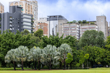 Fototapeta premium paisagem de um bonito parque com arvores e alguns prédios luxuosos ao fundo 