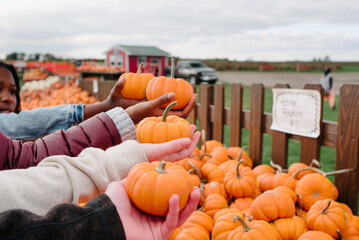 Diverse teens holding pumpkins