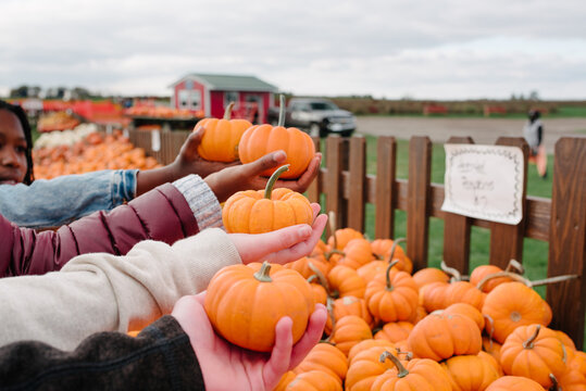 Diverse teens holding pumpkins