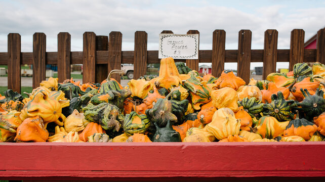Gourd variety for sale