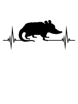 Herzschlag Puls Opossum 