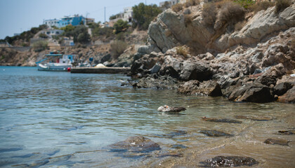 Fototapeta na wymiar duck on syros beach in greece