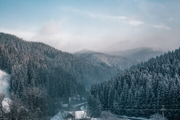 snow-capped mountains, snow, forest, сhristmas trees, winter skyline