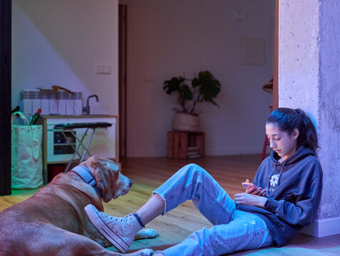 Girl with dog using phone at home