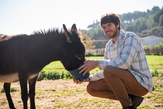 Young man taking care of donkey feeding it at ranch