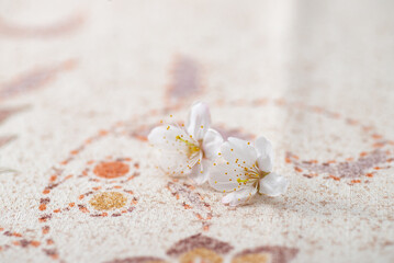 布の背景と桜の花