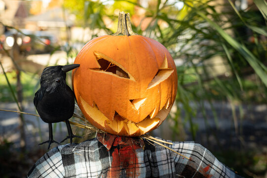 Scary Halloween Jack-O-Lantern Scarecrow with Raven