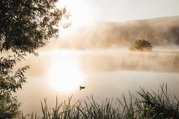 Morning light at a lake