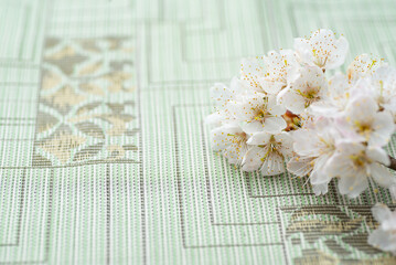 緑色の背景と桜の花