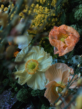 Closeup gentle spring flowers