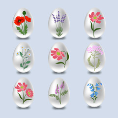 Set of Easter eggs with hand drawn floral decorations vector illustration