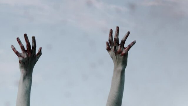 War, prisoner girl, refugee