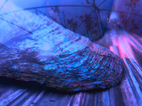 River shell in blue with flares and light leaks