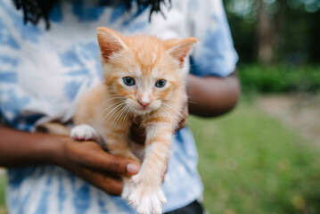 Black girl with ginger cat