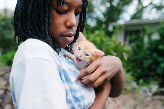 Meowing kitten