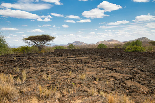 Scenery at the Shetani lava flows in Tsavo West National Park in Kenya. 