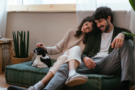 Tender couple stroking dog at home