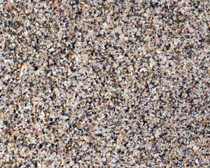 The sandy surface. The texture of the sea shore.