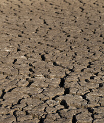 Earth cracked because of drought. The global shortage of water on the planet. Global warming concept. Dry cracks in the land.