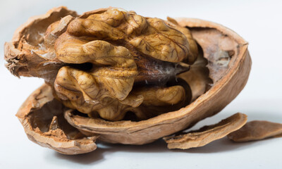 Walnuts are rounded, single-seeded stone fruits of the walnut tree. Cracking a nut.