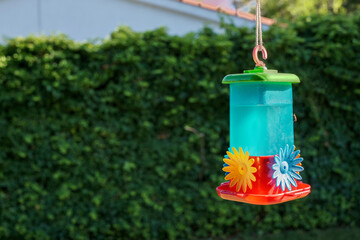 hummingbird feeder hanging on natural background of green leaves. copy-space