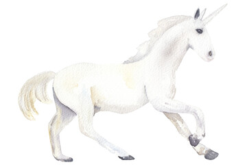 Naklejka na ściany i meble Watercolor hand drawn white unicorn isolated on white. 