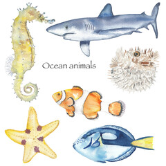 Watercolor hand drawn animals isolated on white. Set of cute wild sea life animals.  Ocean creatures. starfish, puffer fish, clown fish, blue tang, blue shark, sea horse © Liudmila