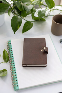 Notebook on white table with plant