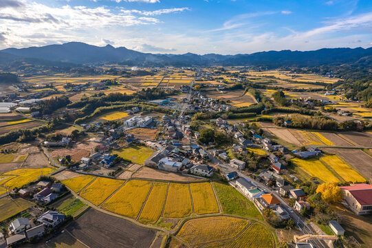 Autumn Town In Chiba Prefecture