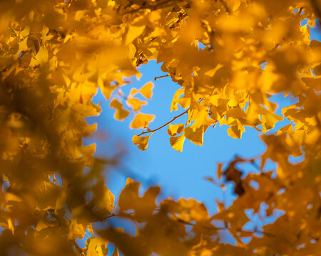 Surrounded In Yellow
