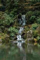 Fototapeta na wymiar Japanese garden waterfall
