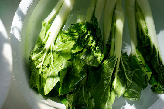 Closeup of clear vegetables