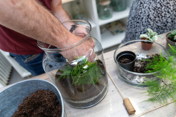 manufacturing a terrarium with plants