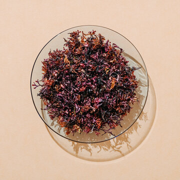irish moss in a plate