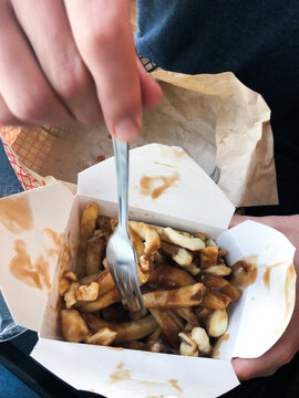 UGC Typical Canadian Poutine