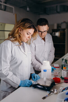 Coworkers of lab doing preparation of buffer