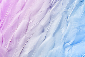 Seamless pattern of feathers with ombre effect