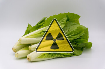 cabbage with radiation warnings.contaminated foods.Radioactive Vegetables.metaphor for nuclear...