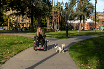 Woman in Wheelchair Walks Her Dog
