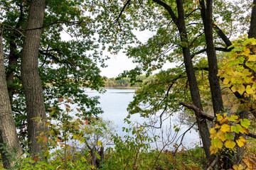 View of a lake in the forest through some trees in the Summer