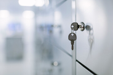 Keys hanging on metallic locker