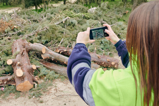 young adult woman dressed in bright work clothes doing her supervisory job on a pruning job, taking photos of the cut brush and logs to send to the insurance company.