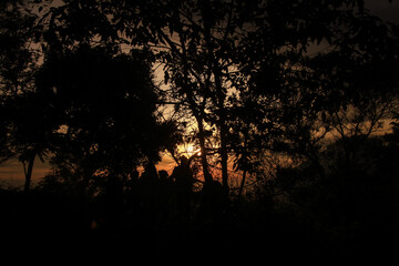 View from Sikunir hill, in the Dieng Plateau, sunset behind the trees.