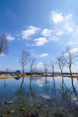 静岡県富士宮市朝霧高原のキャンプ場