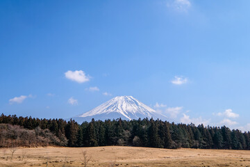 Obraz premium 静岡県富士宮市朝霧高原からの富士山