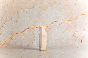 Marble stone and willow branch