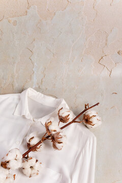 Cotton branch and white shirt