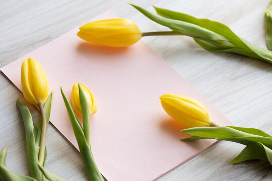Yellow tulips and pink stationery