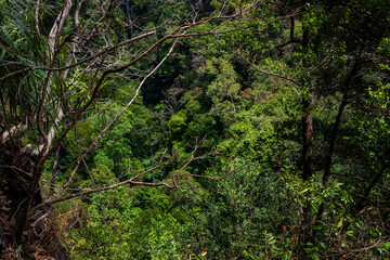 view from the top of the mountain